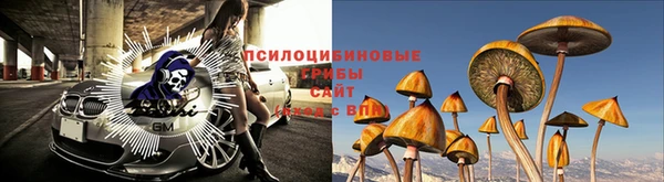 spice Алексин