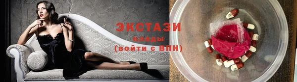 прущие грибы Новозыбков