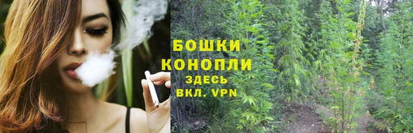 spice Алексин