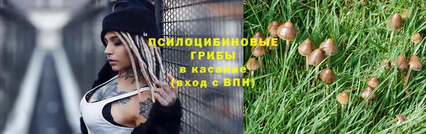 стафф Алексеевка